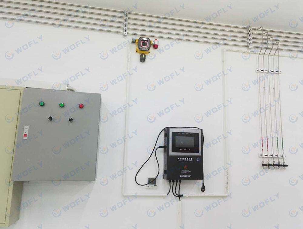 特氣系統(tǒng)氣體檢測報警裝置